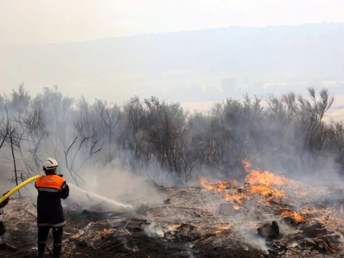 850 hectares de végétation détruits à Moux, dans l'Aude.